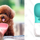 MalsiPree Dog Water Bottle | $13 | Amazon